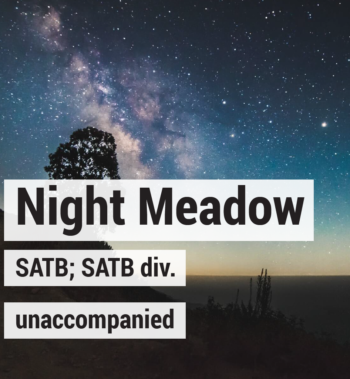 Night Meadow - Carlos Cordero