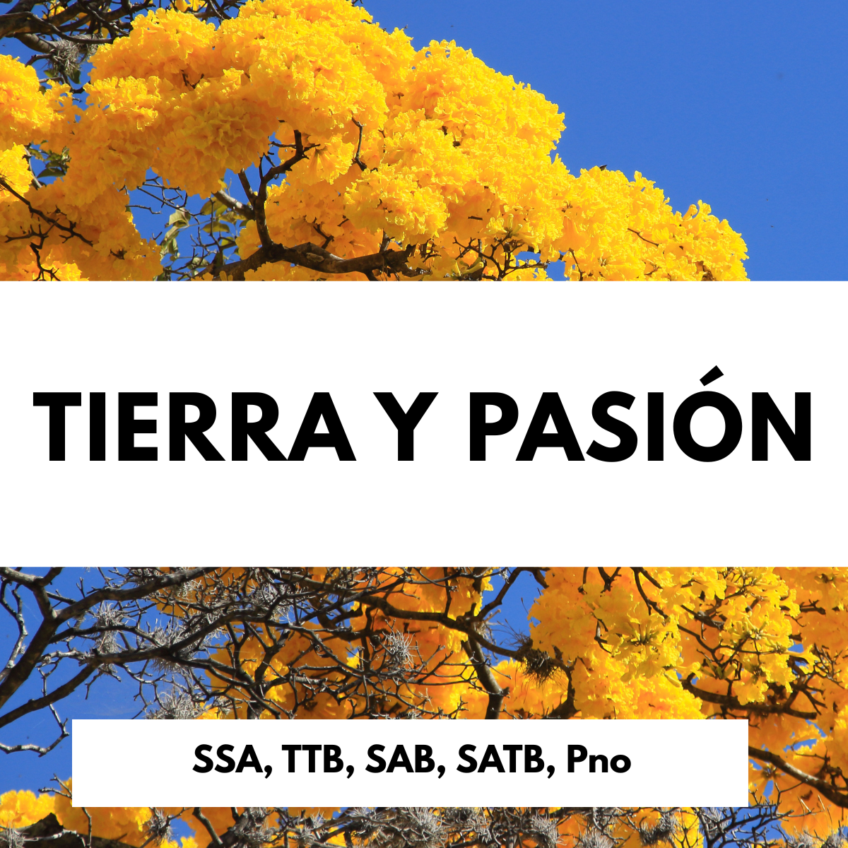 Tierra y Pasión (Yo Soy América)